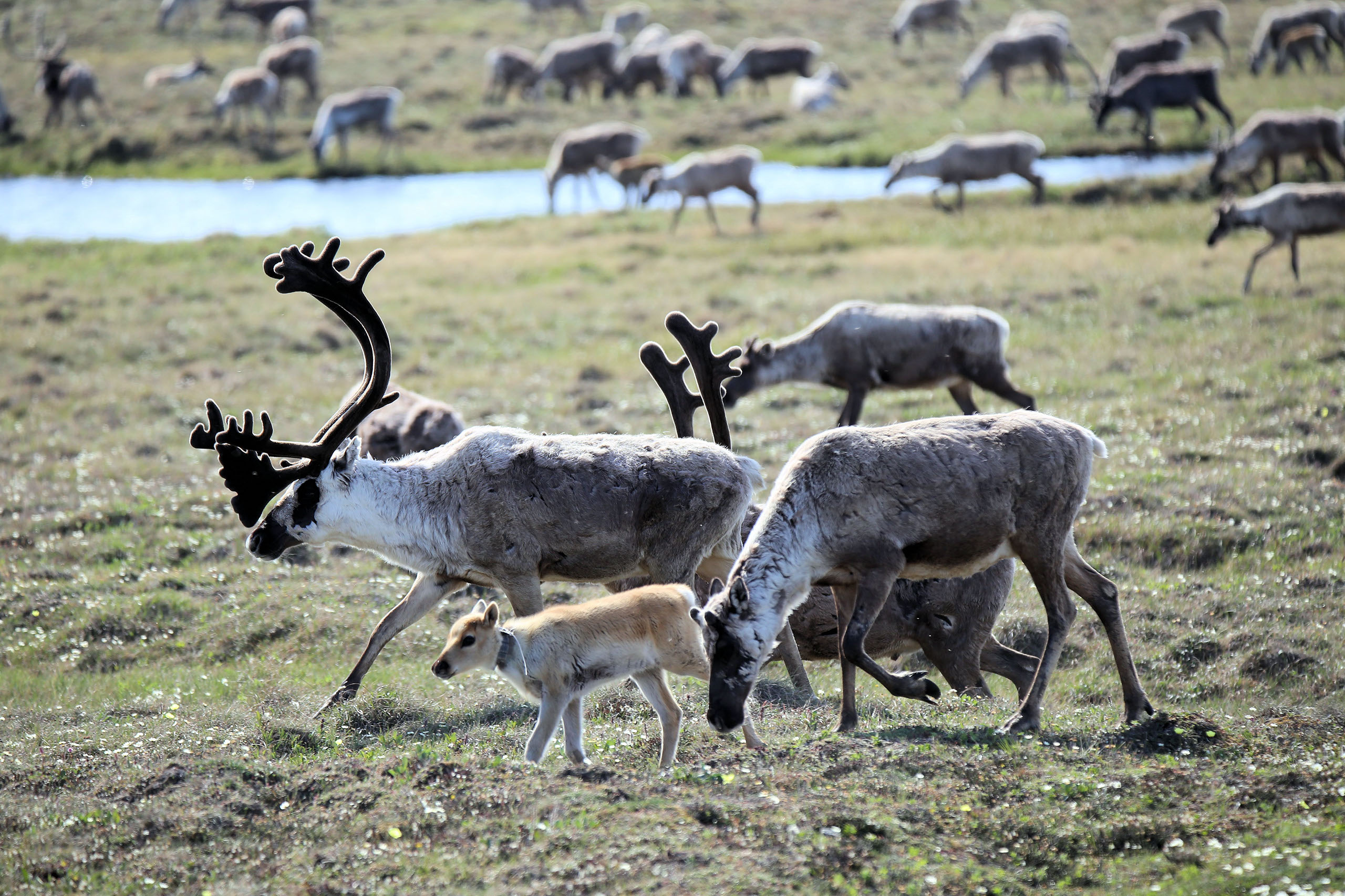 Photo by Wendy Mahan ConocoPhillips