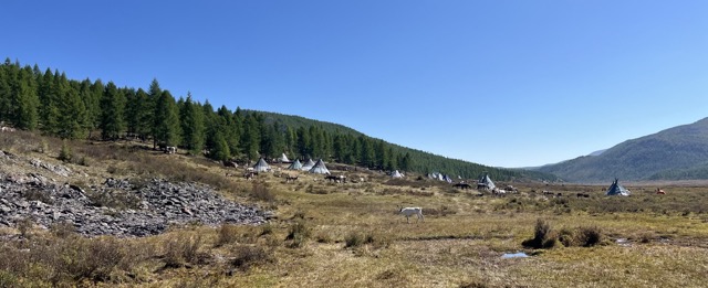 East taiga 2024 Medium