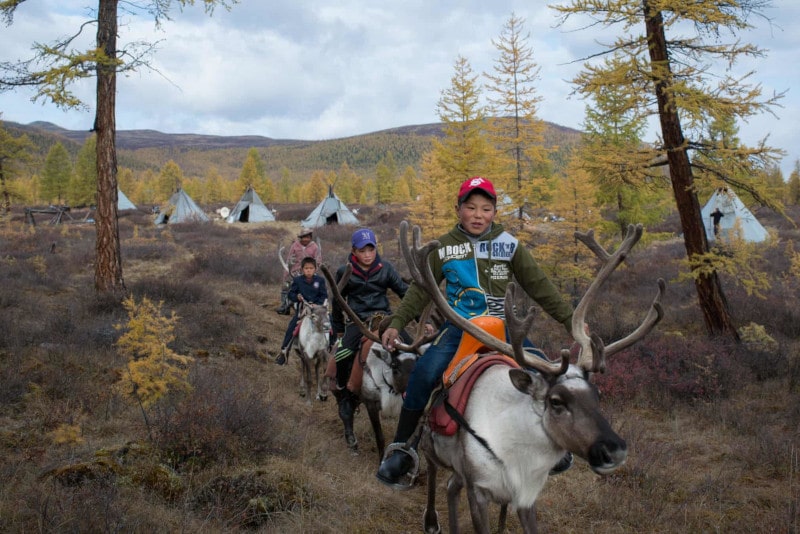 boys riding reindeers