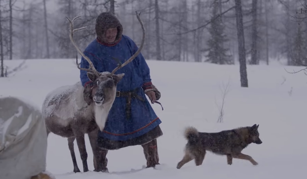 Nenets reindeer herder