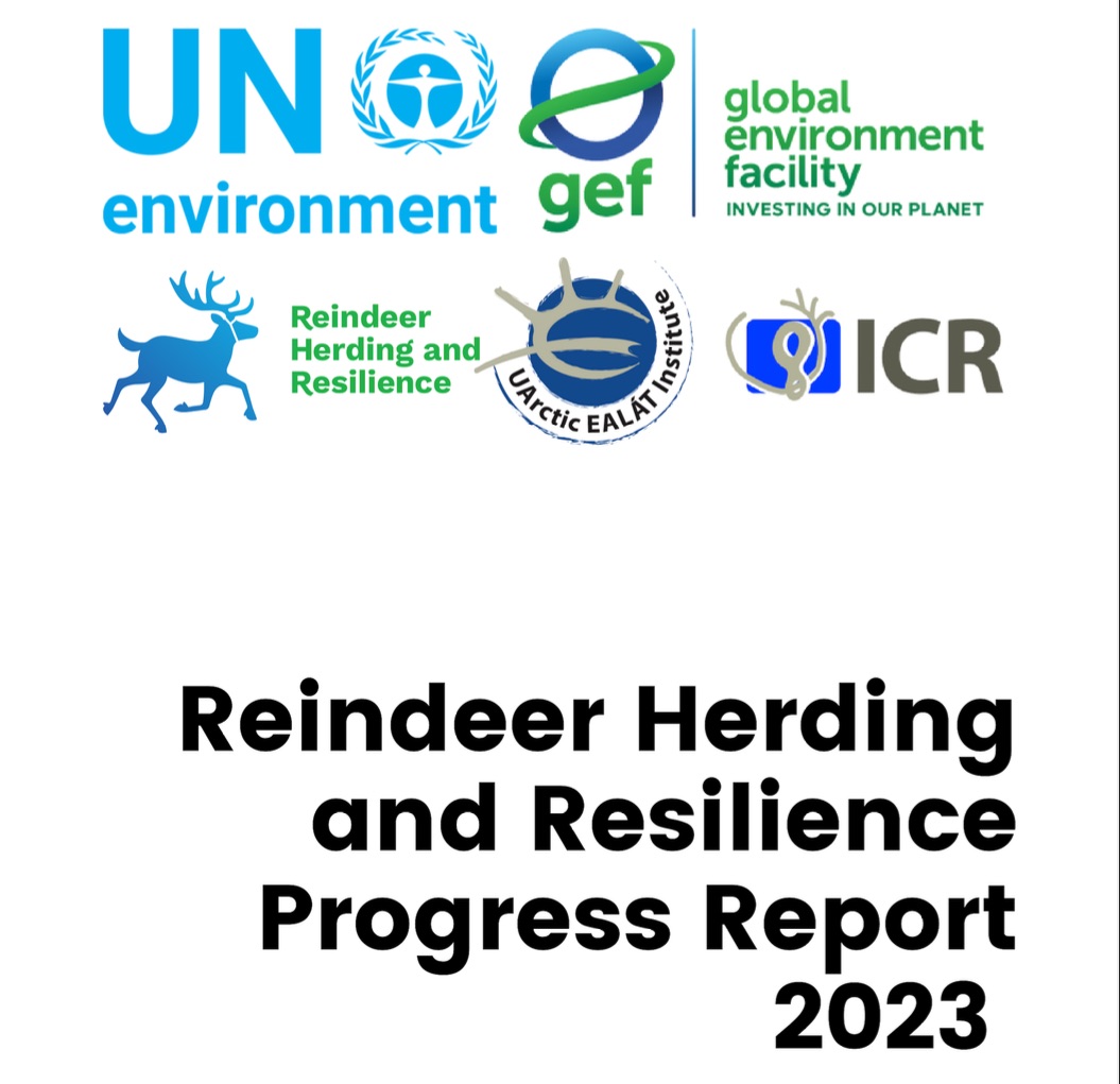 Reindeer Herding and Resilience Progress Report 2023 available