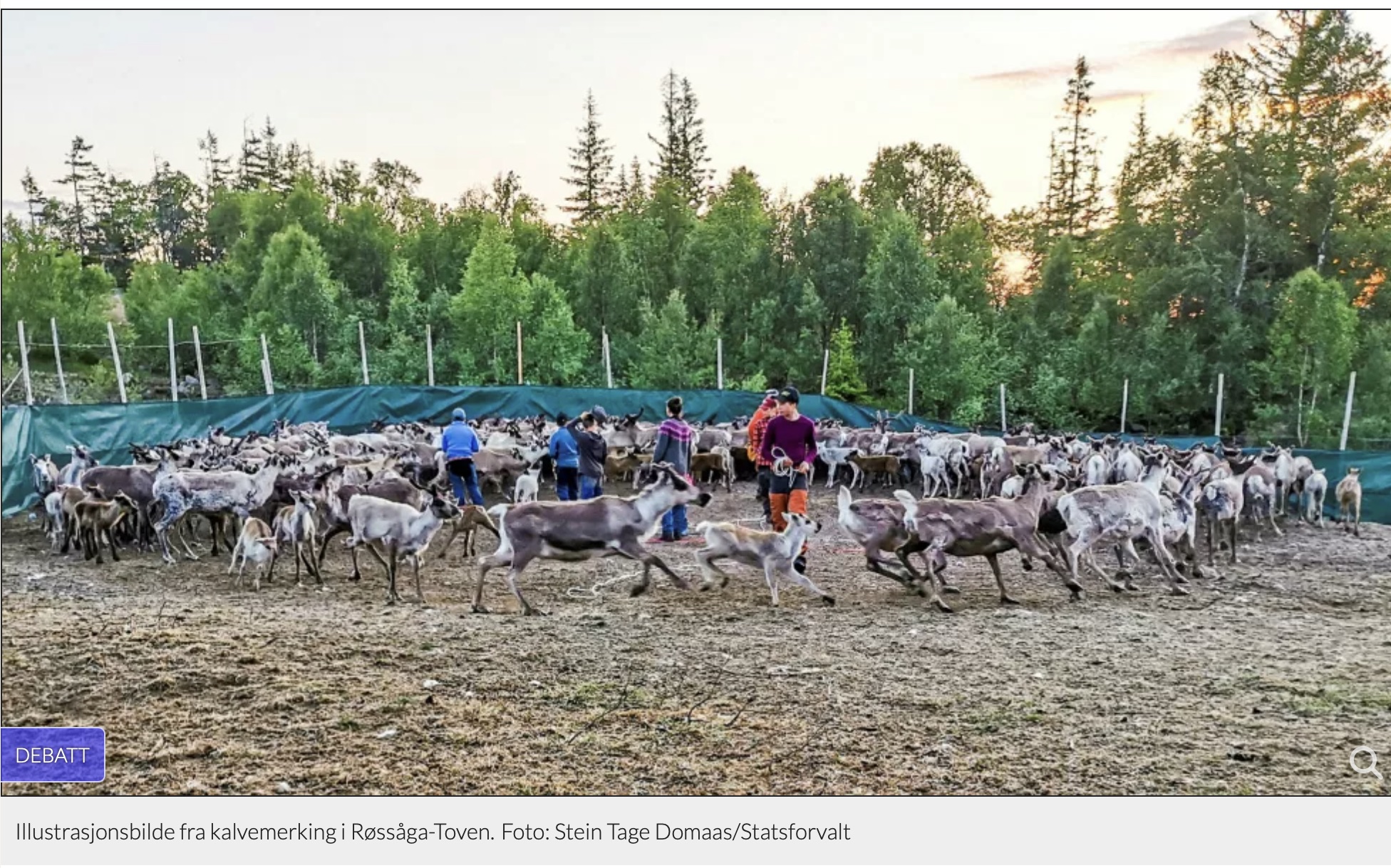 Reindeer Herding vs. School Rules: Sámi Youth at a Crossroads
