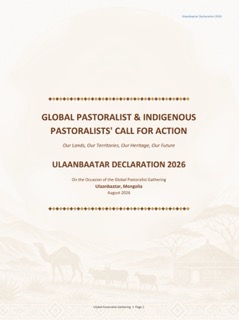 Ulanbaatar Declaration